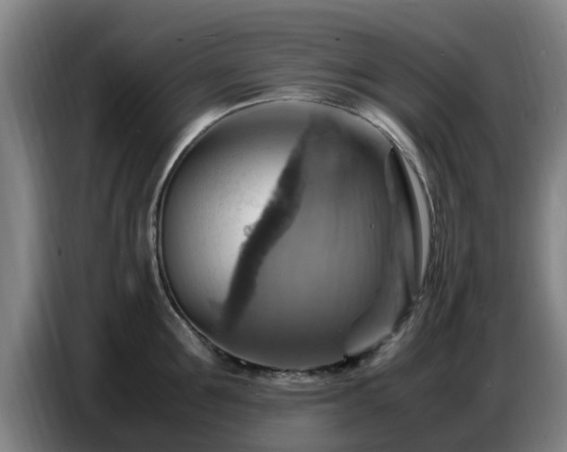 X0000086770907200704201802
