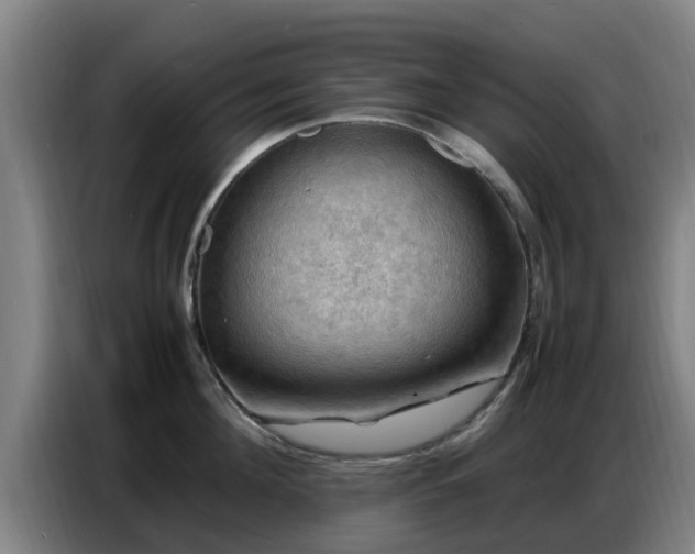 X0000086770908200704201802