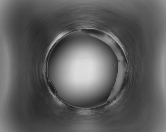 X0000086770909200704201802