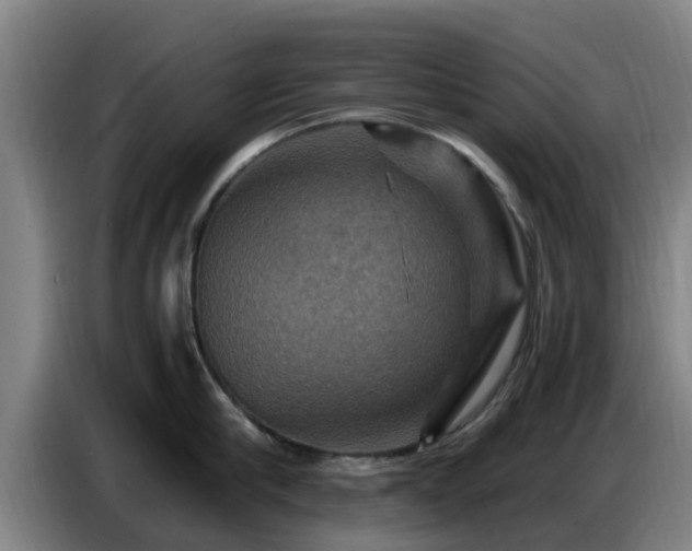 X0000086770910200704201802