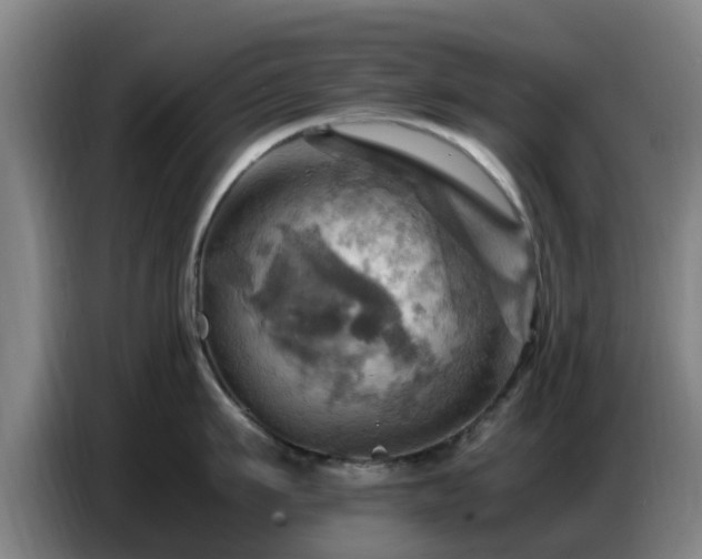X0000086770911200704201802