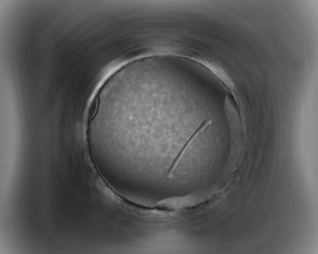 X0000086770912200704201802
