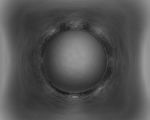 X0000086770913200704201801