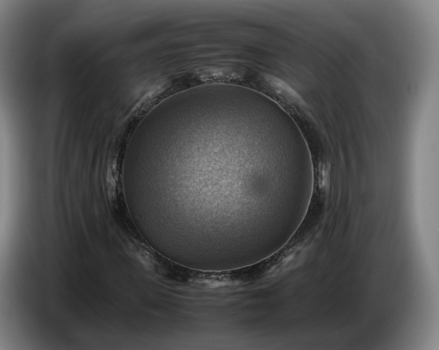 X0000086770915200704201801