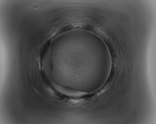 X0000086770916200704201801