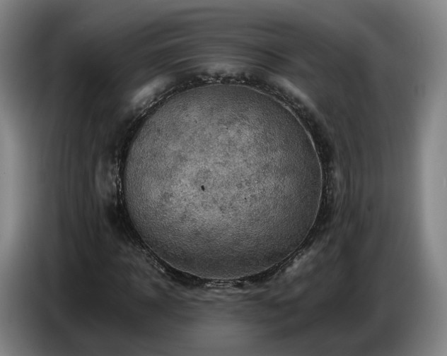 X0000086770918200704201801