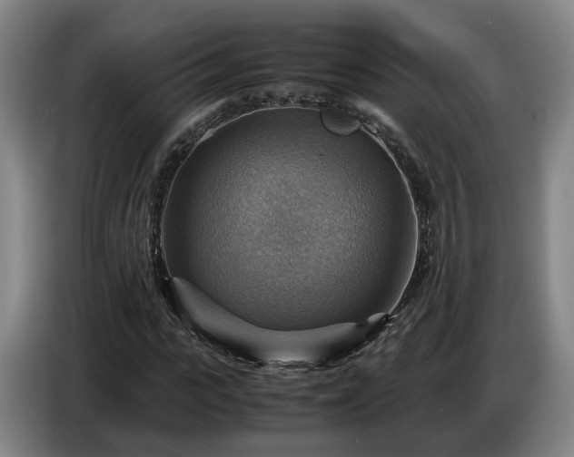 X0000086770919200704201801