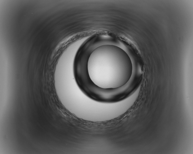 X0000086770920200704201801