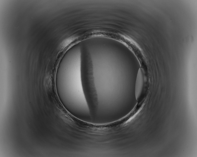 X0000086770921200704201801