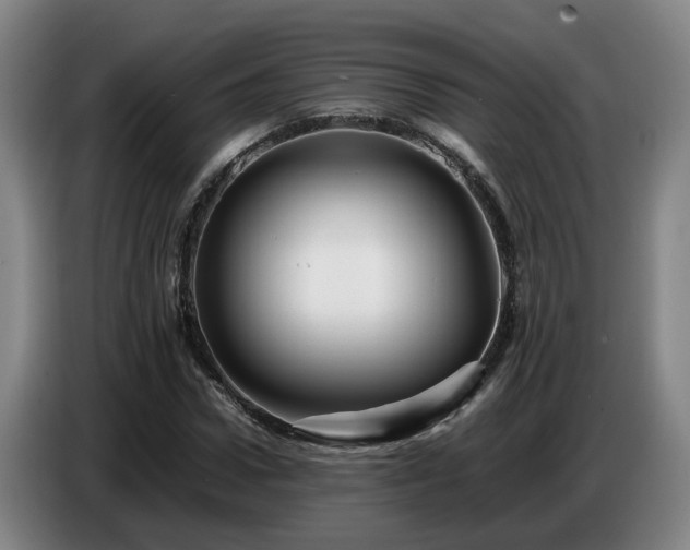 X0000086770922200704201801