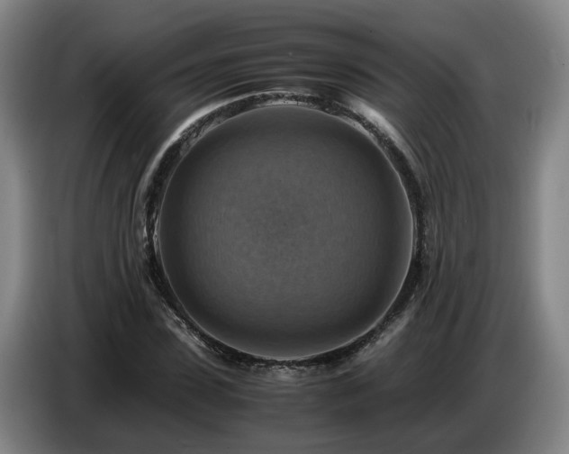 X0000086770923200704201801