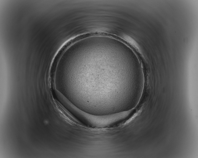 X0000086770924200704201801