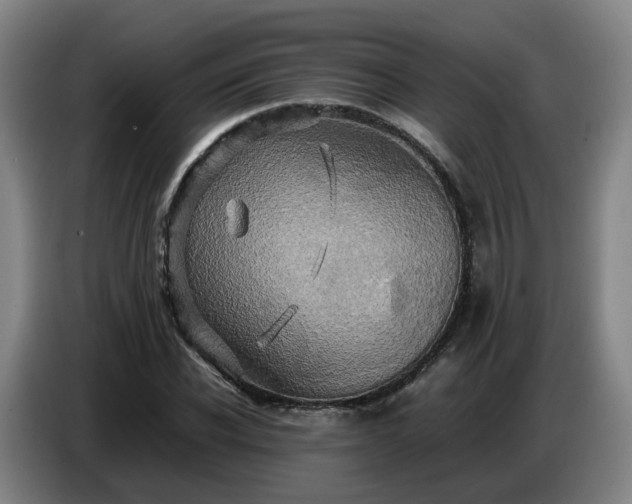 X0000086770926200704201802