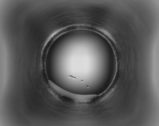 X0000086770927200704201802