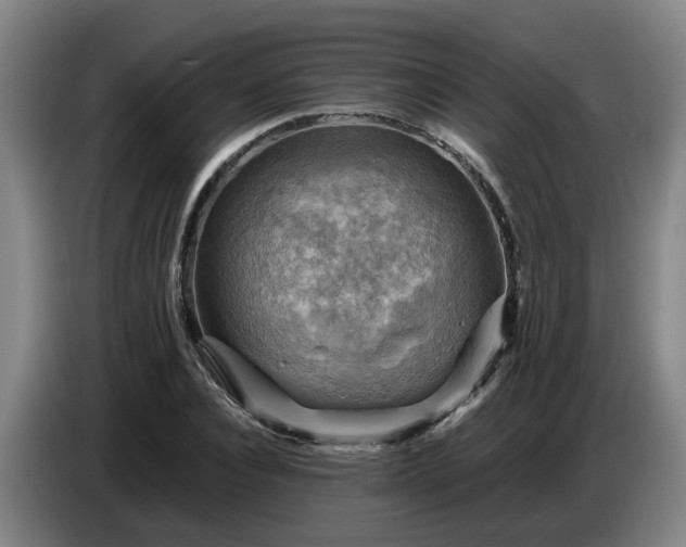 X0000086770928200704201802