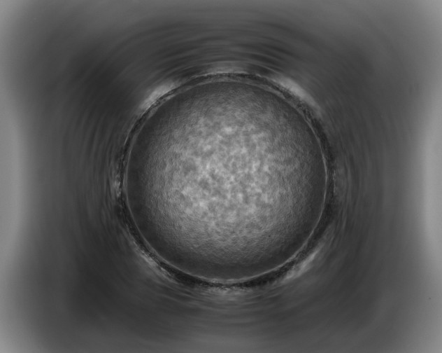 X0000086770929200704201802