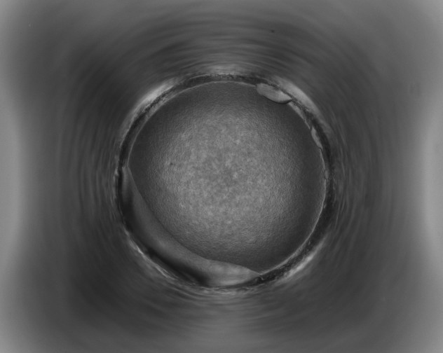 X0000086770930200704201802