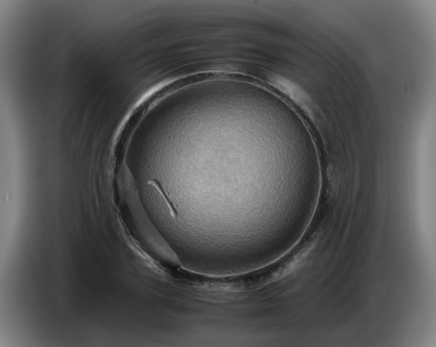 X0000086770931200704201802