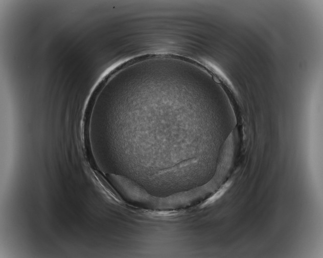 X0000086770932200704201802