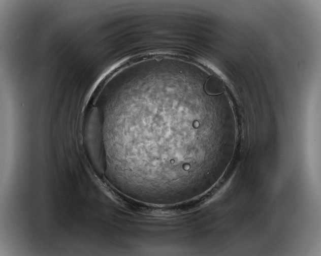 X0000086770933200704201802