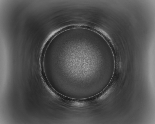 X0000086770935200704201802