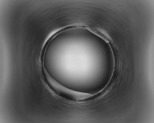 X0000086770936200704201802