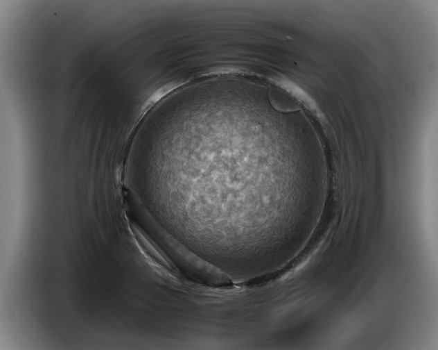 X0000086770937200704201802