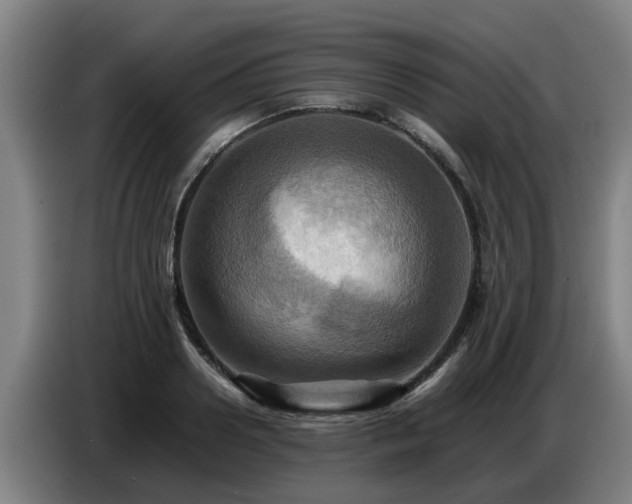 X0000086770938200704201802