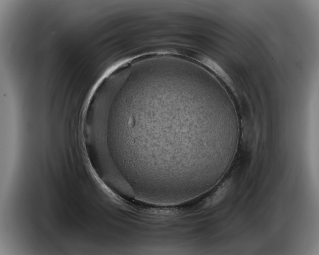 X0000086770939200704201802