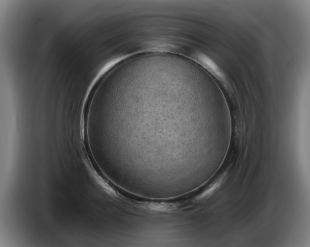 X0000086770940200704201802