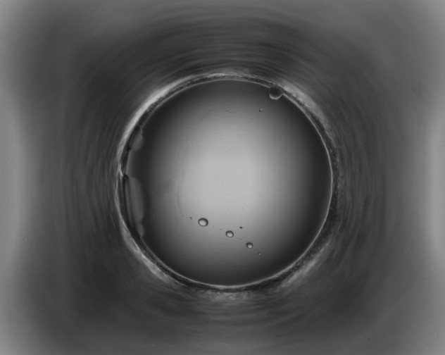 X0000086770941200704201802