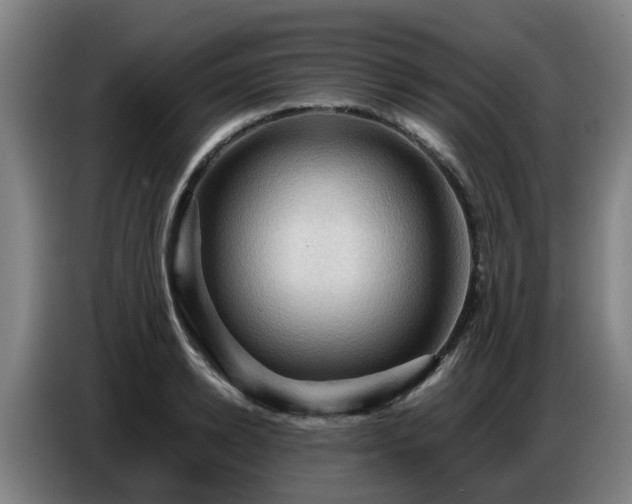 X0000086770942200704201802