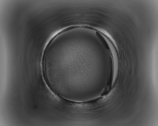 X0000086770943200704201802