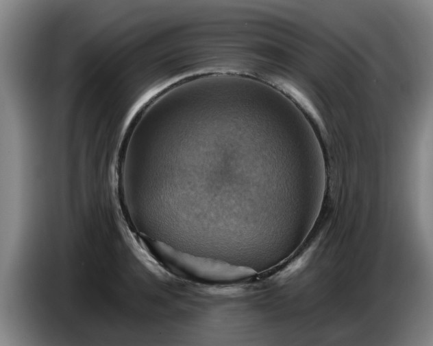X0000086770944200704201802