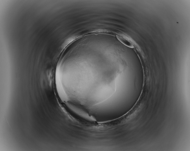 X0000086770945200704201802