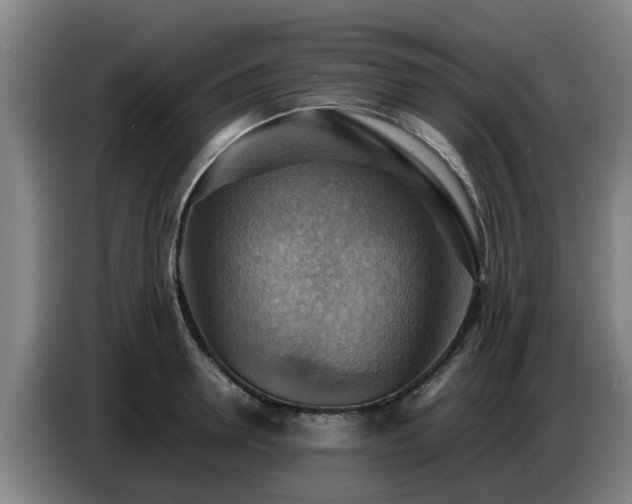 X0000086770946200704201802