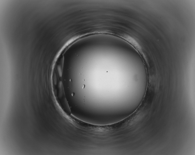 X0000086770947200704201802