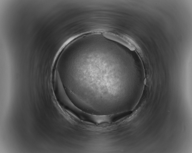 X0000086770948200704201802