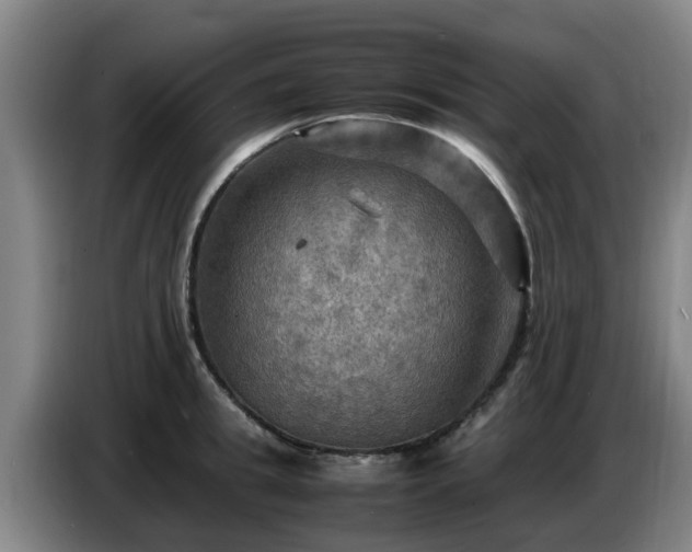 X0000086770949200704201802