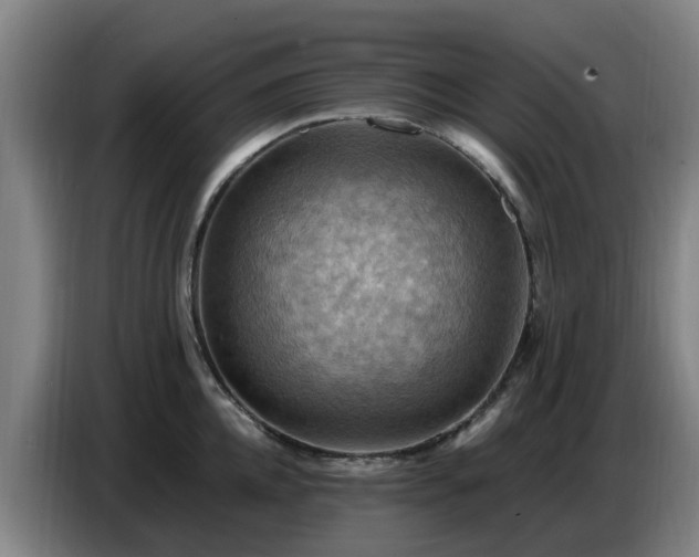X0000086770952200704201802