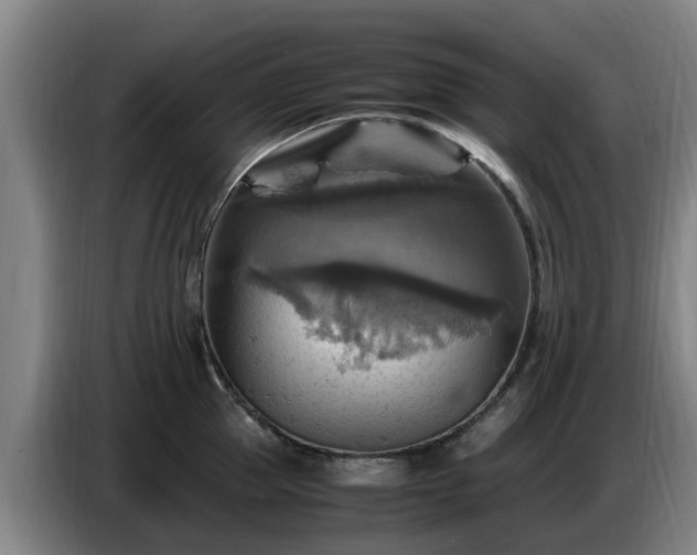 X0000086770953200704201802