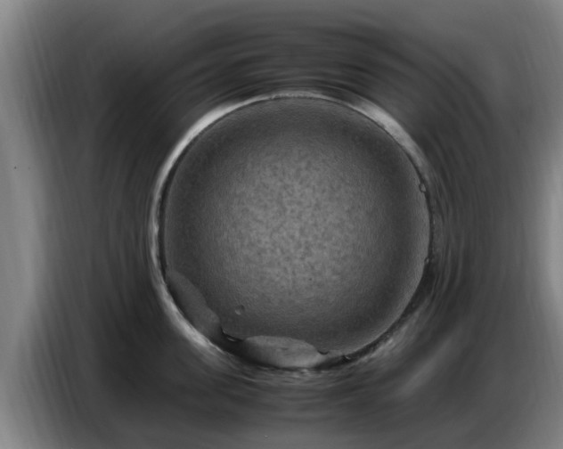 X0000086770955200704201802