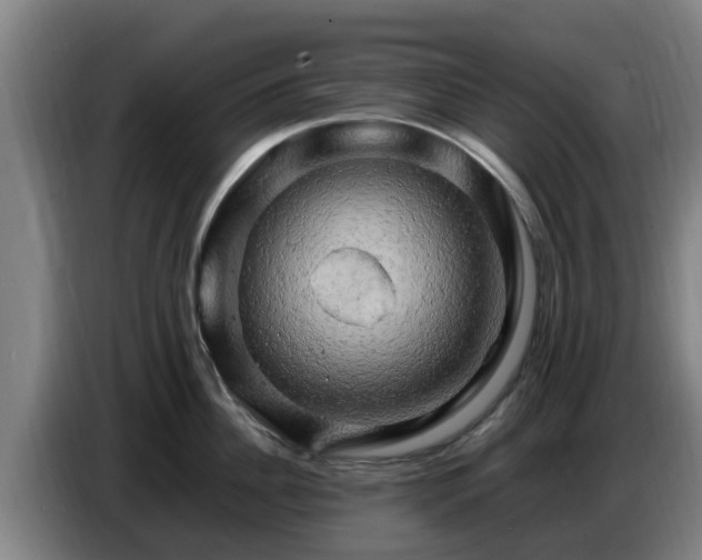 X0000086770956200704201802