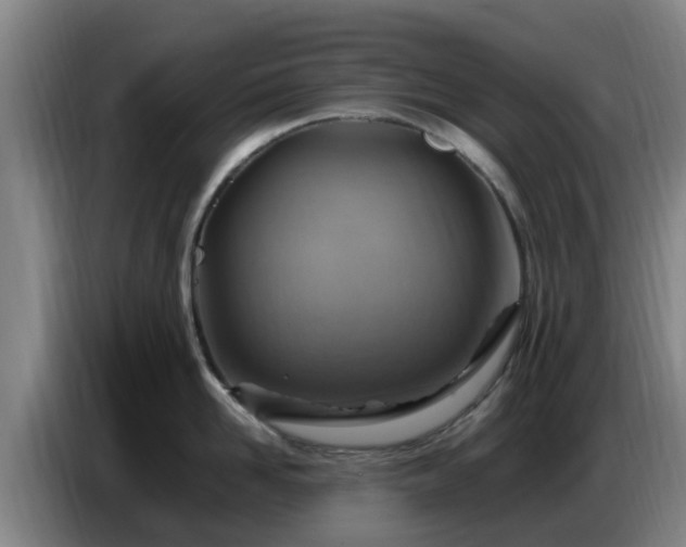 X0000086770958200704201802