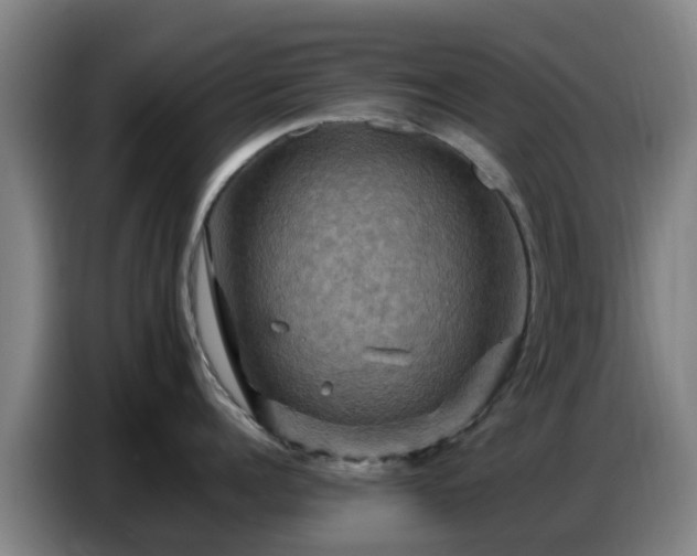 X0000086770960200704201802