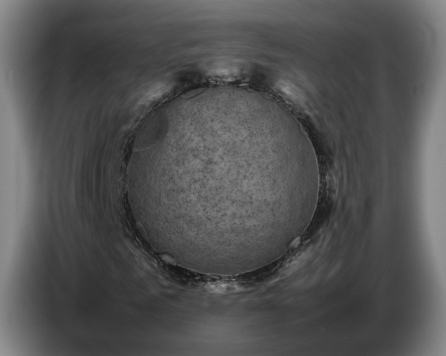 X0000086770961200704201801