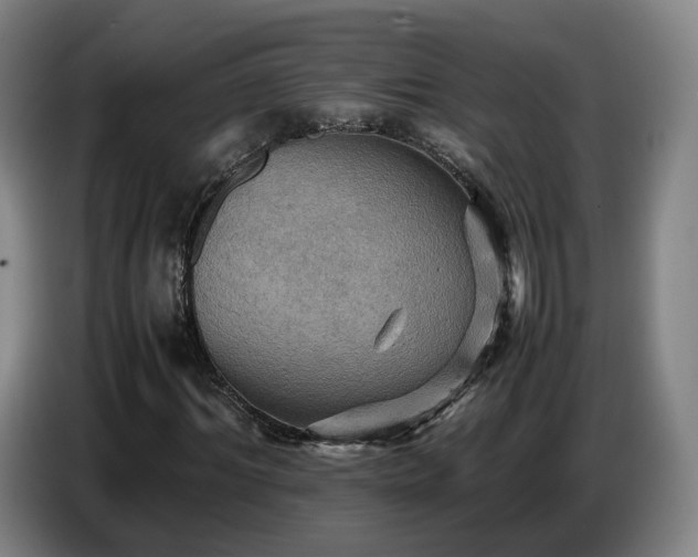 X0000086770964200704201801
