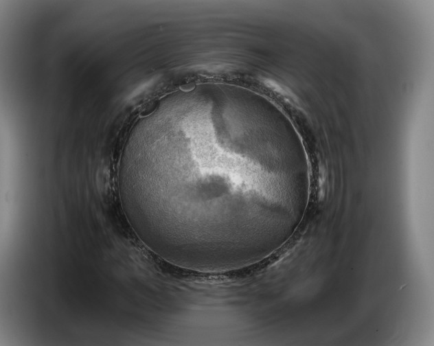 X0000086770966200704201801