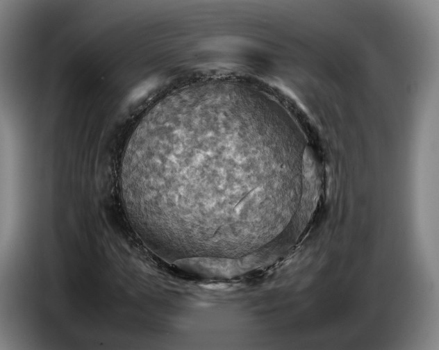 X0000086770967200704201801