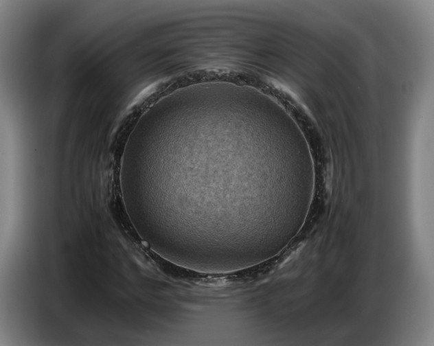 X0000086770968200704201801